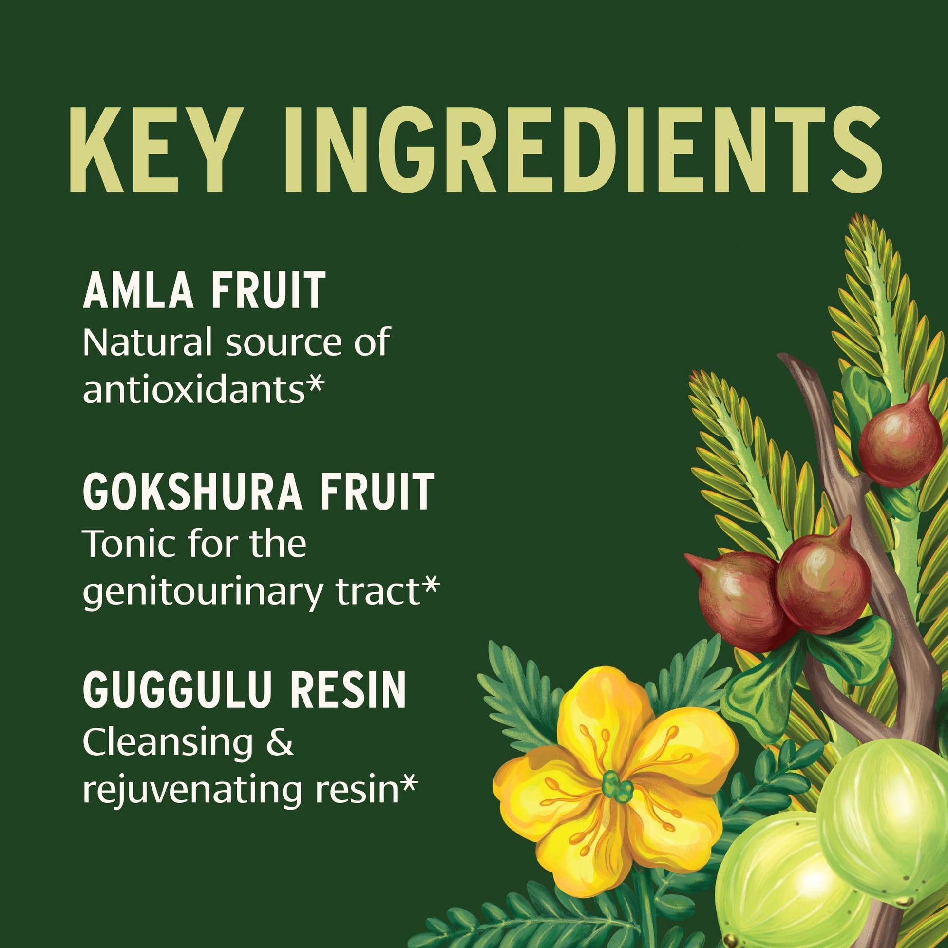 Side view of Banyan Botanicals Gokshuradi Guggulu herbal supplement jar