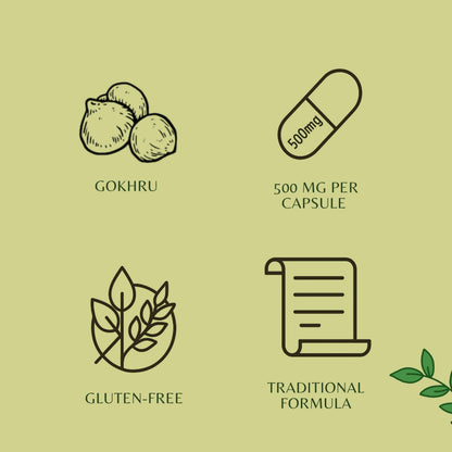 Side view of Ayurvedashree Gokhru 500mg extract bottle
