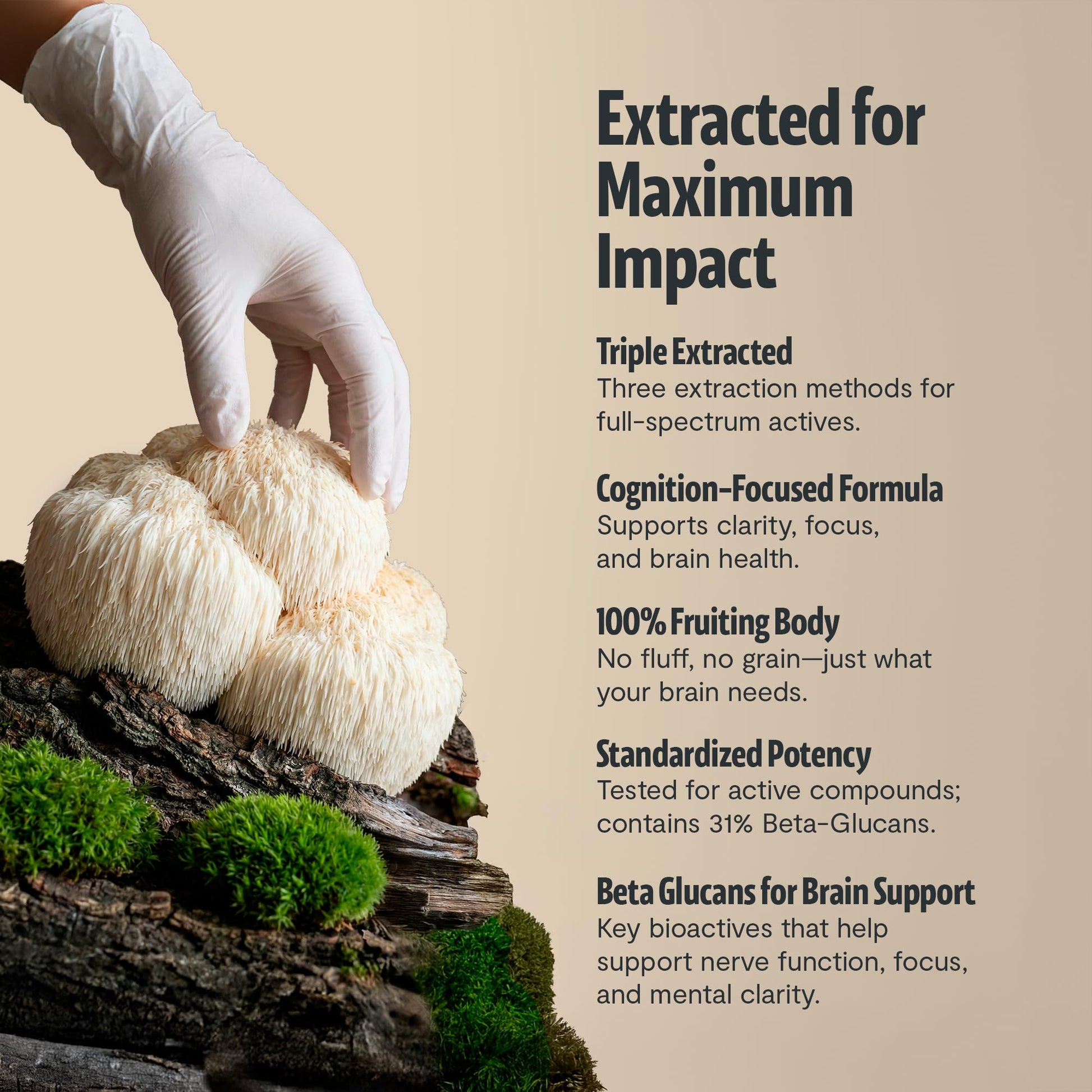 Organic lions mane nootropic capsules for focus and memory enrichment