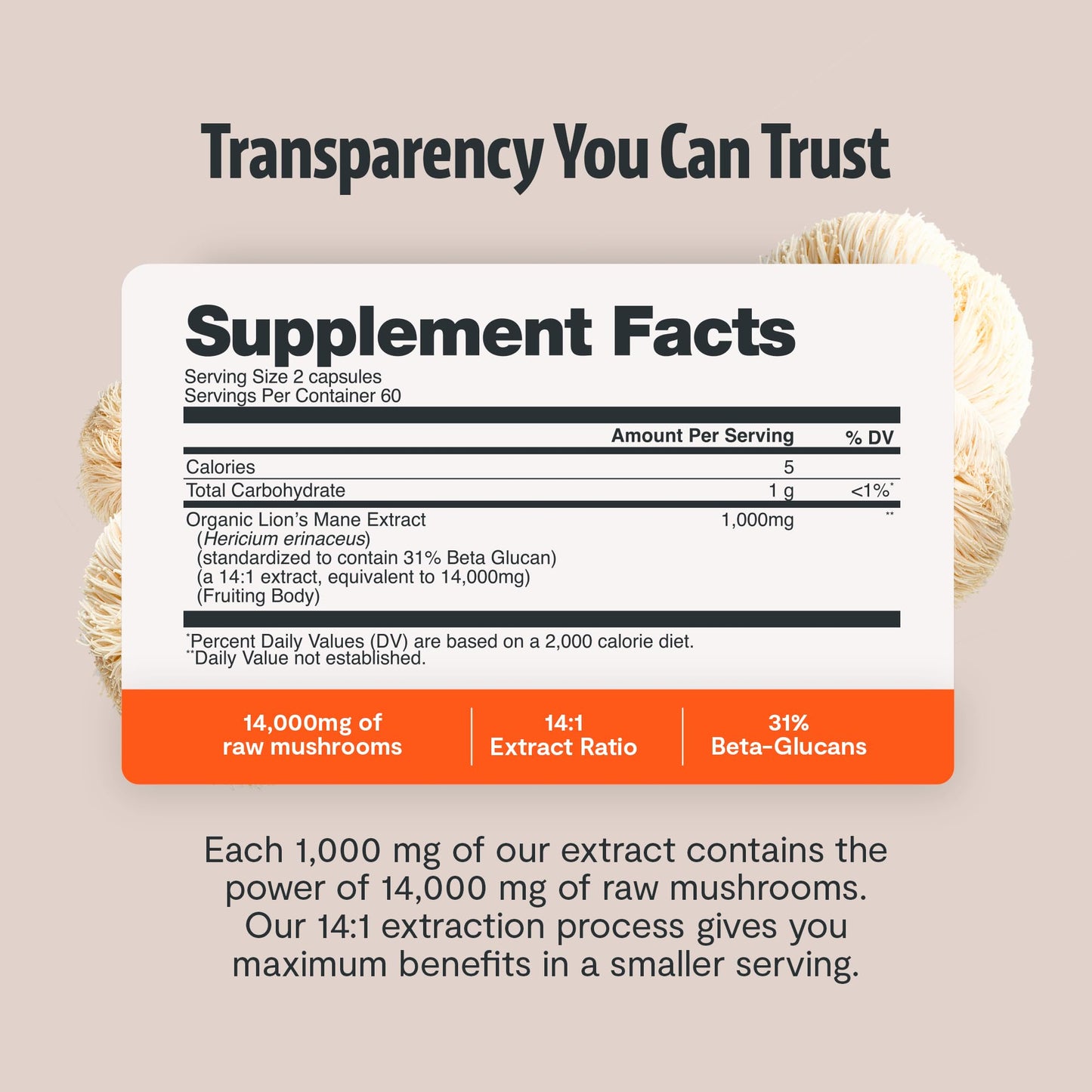 Premium imported certified organic mushroom fruiting body extract pills
