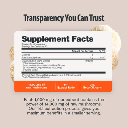 Premium imported certified organic mushroom fruiting body extract pills