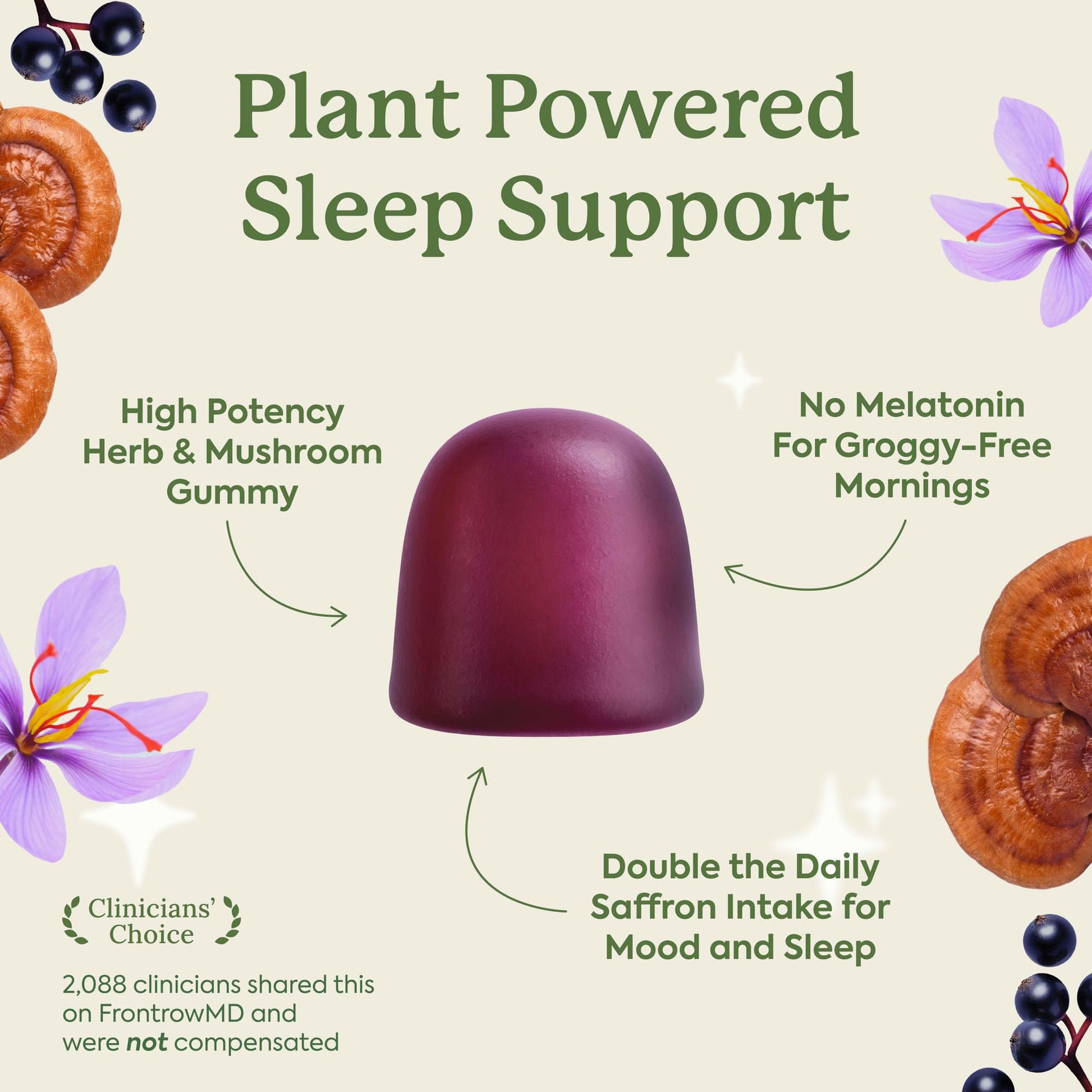 Plant People WonderSleep Sugar Free Reishi Mushroom Sleep Aid wild elderberry flavored gummies