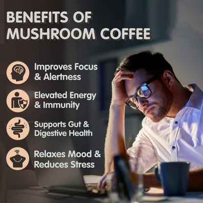 USA sourced functional mushroom beverage mix for daily immune health support.