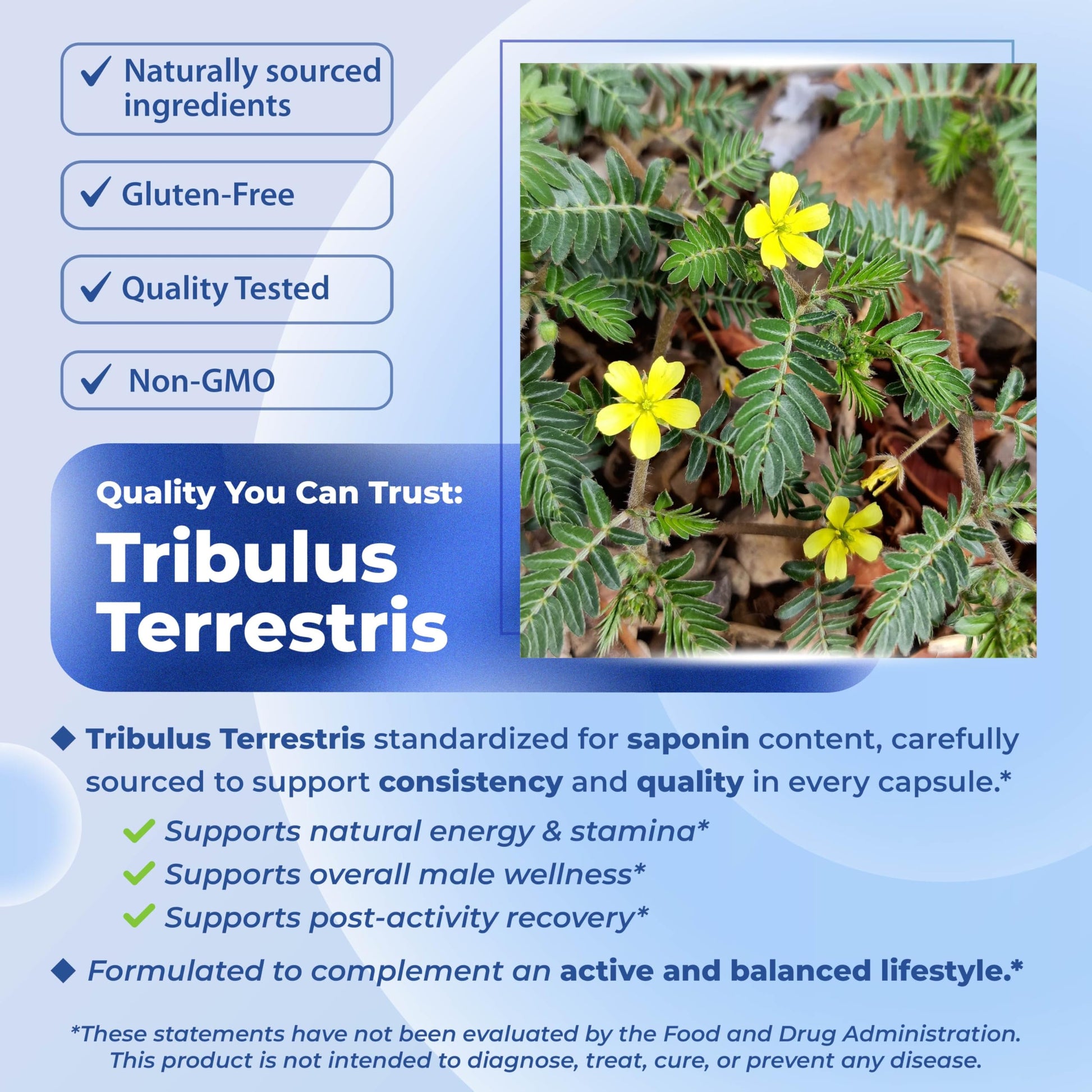 Sotalix Tribulus Terrestris bottle with Maca and Tongkat Ali text