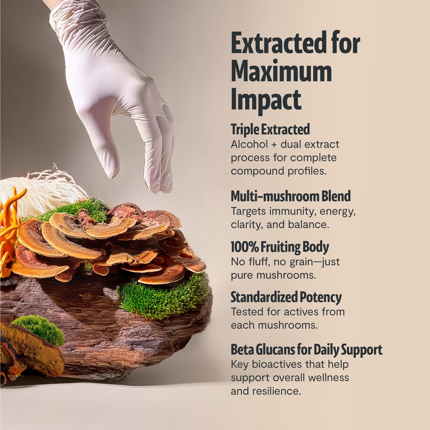 Premium organic mushroom complex dietary supplement packaging for focus and energy