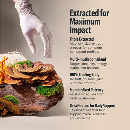 Premium organic mushroom complex dietary supplement packaging for focus and energy