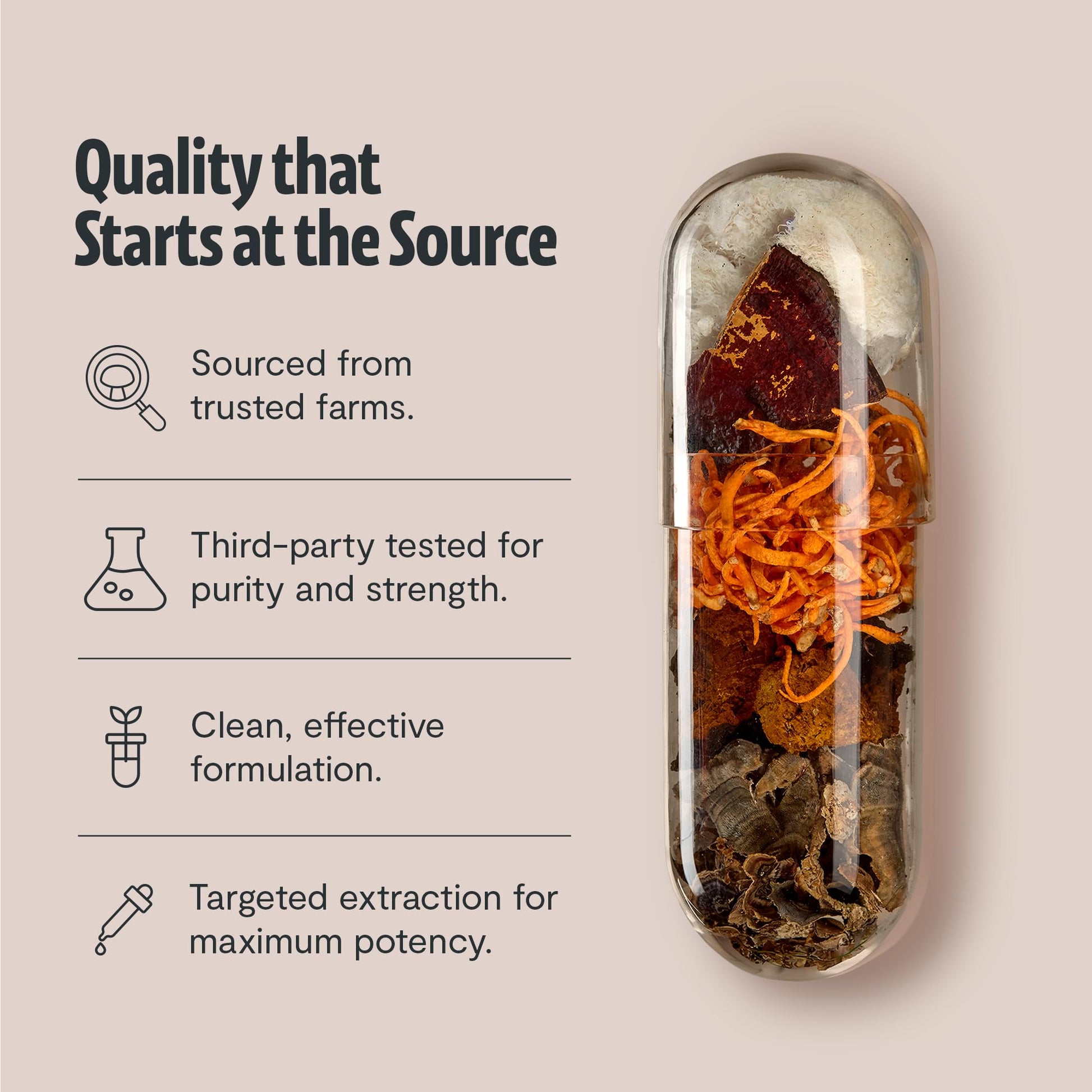 Natural dietary supplement bottle featuring lions mane reishi and cordyceps blend