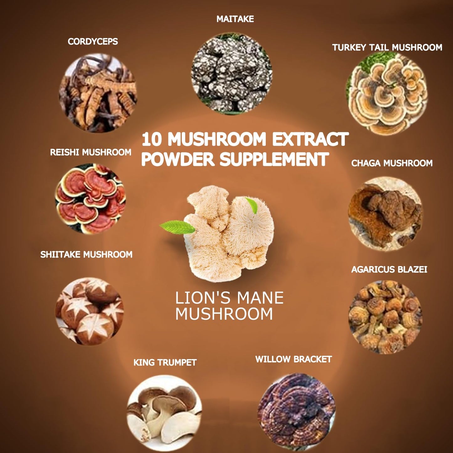 Suiyilary adaptogenic mushroom blend container detailing cognitive focus and immune support benefits
