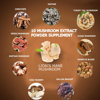 Suiyilary adaptogenic mushroom blend container detailing cognitive focus and immune support benefits