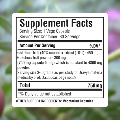 Herbsforever Gokshura capsules label displaying 40 percent saponin content