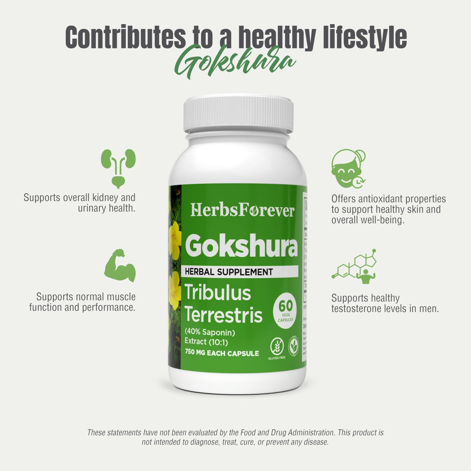 Herbsforever Gokshura Tribulus Terrestris bottle with 10 to 1 extract details