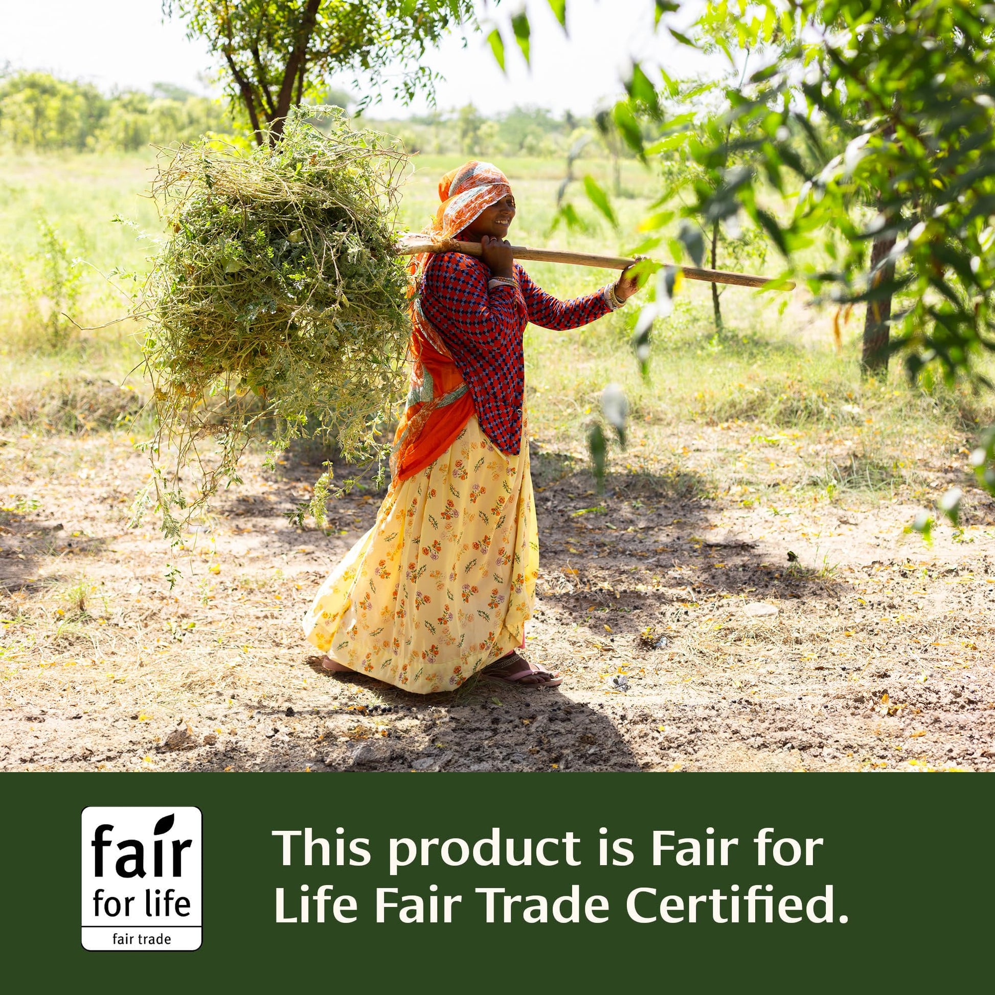 Banyan Botanicals Menâ€™s Support tablets showing the B Corporation and Fair Trade logos.