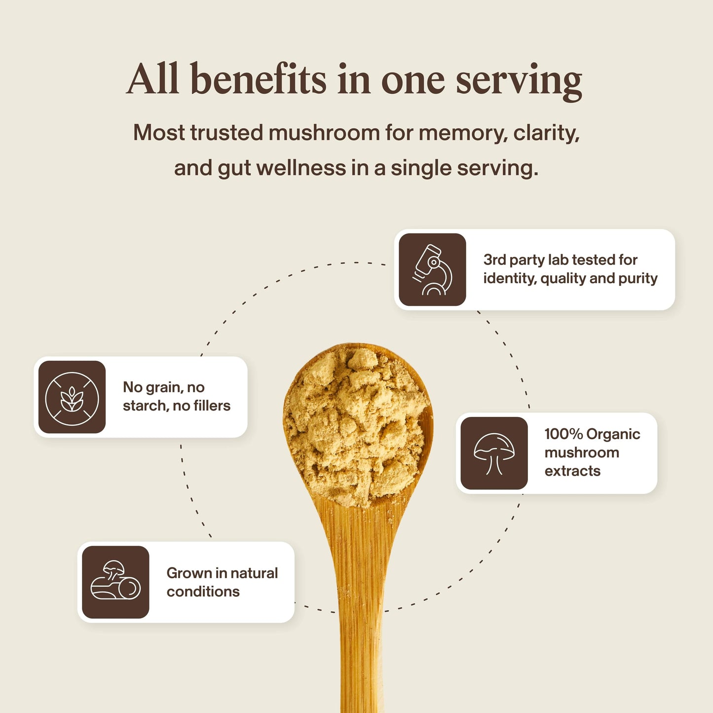 Real Mushrooms Lions Mane extract vegetarian capsules highlighting zero grain filler composition