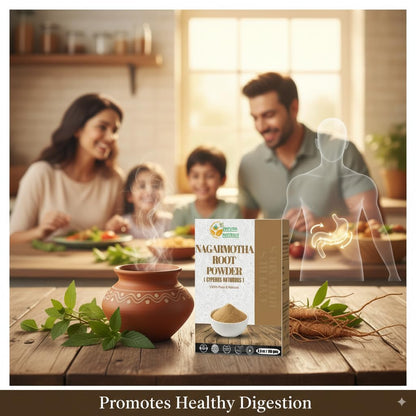 Authentic Herbs Botanica Ayurvedic digestive support herbal powder resealable packaging back view