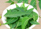 Goodluck Ganesha Fresh Organic Neem Leaves packaging and leaves
