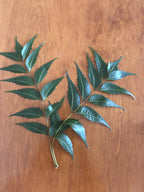 Goodluck Ganesha Fresh Organic Neem Leaves fresh handpicked quality