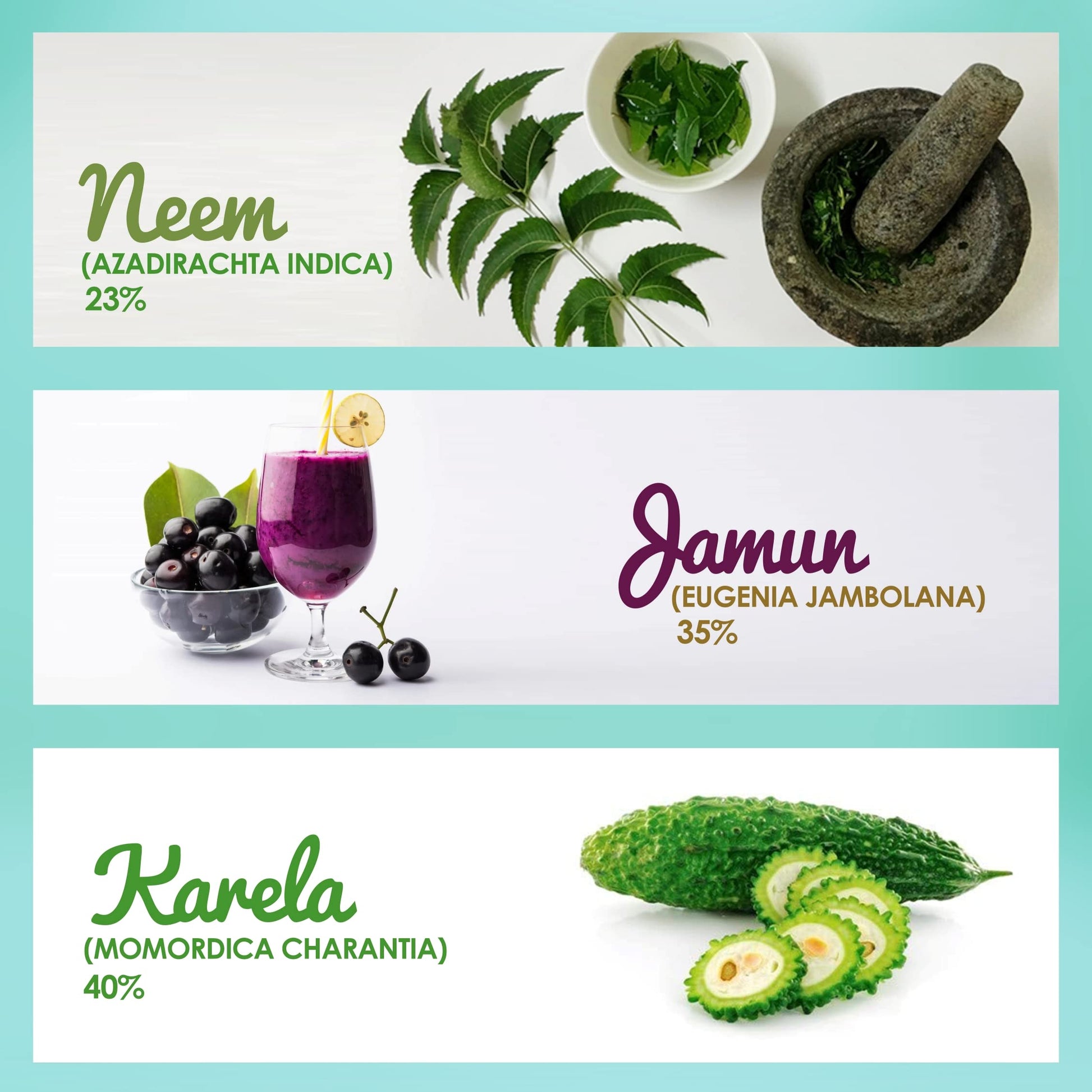 Garden Of Nutrition Neem Karela Jamun Juice nutritional facts label