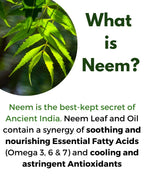 All About Neem Organic Neem Bark 400mg Capsules Daily Dose