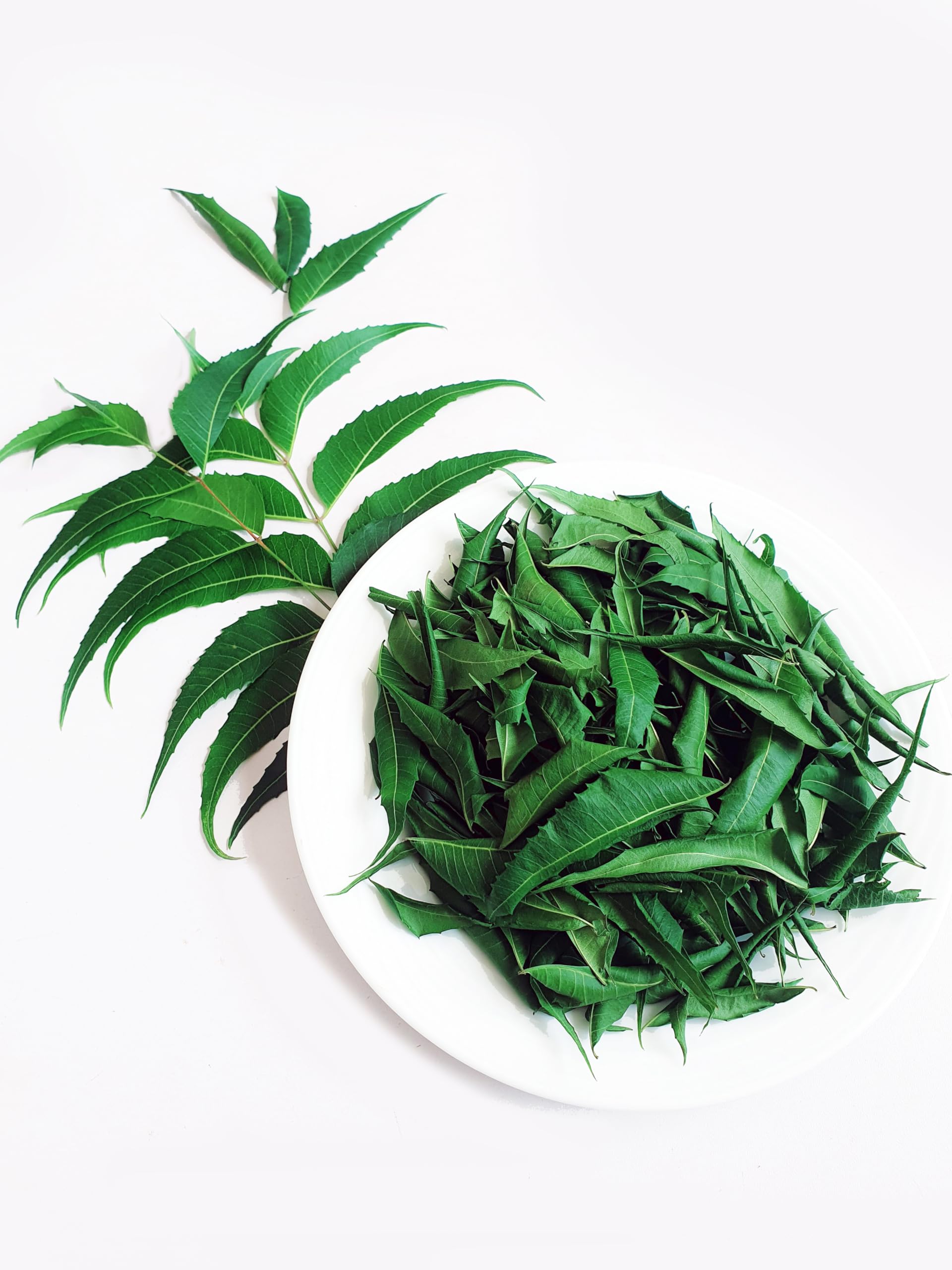 Ceylon Rustic Savour Dried Neem Leaves resealable pouch packaging