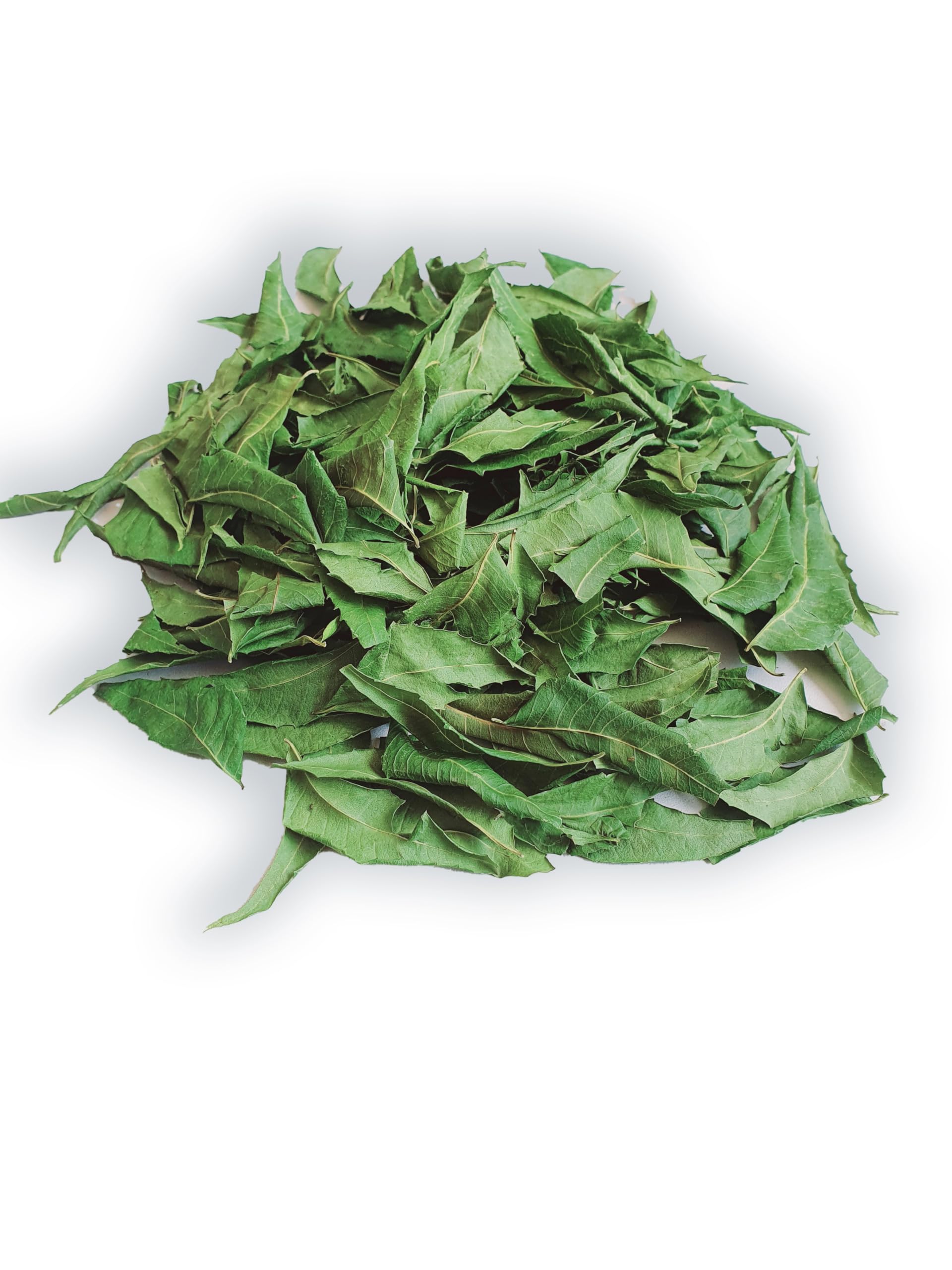 Ceylon Rustic Savour Dried Neem Leaves loose herbal tea texture