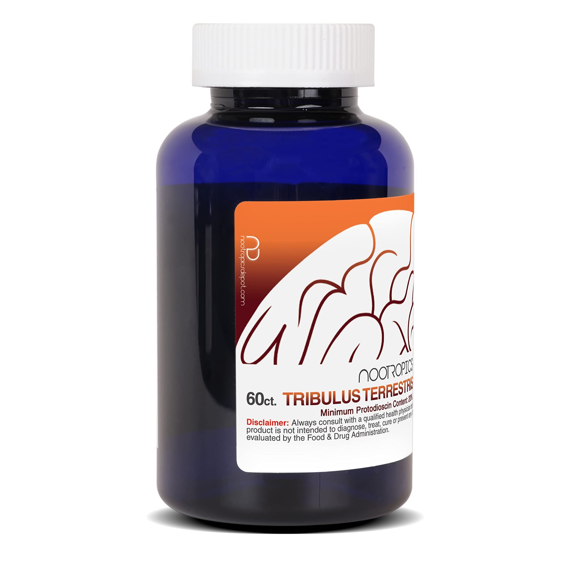 Authentic Nootropics Depot USA imported supplement