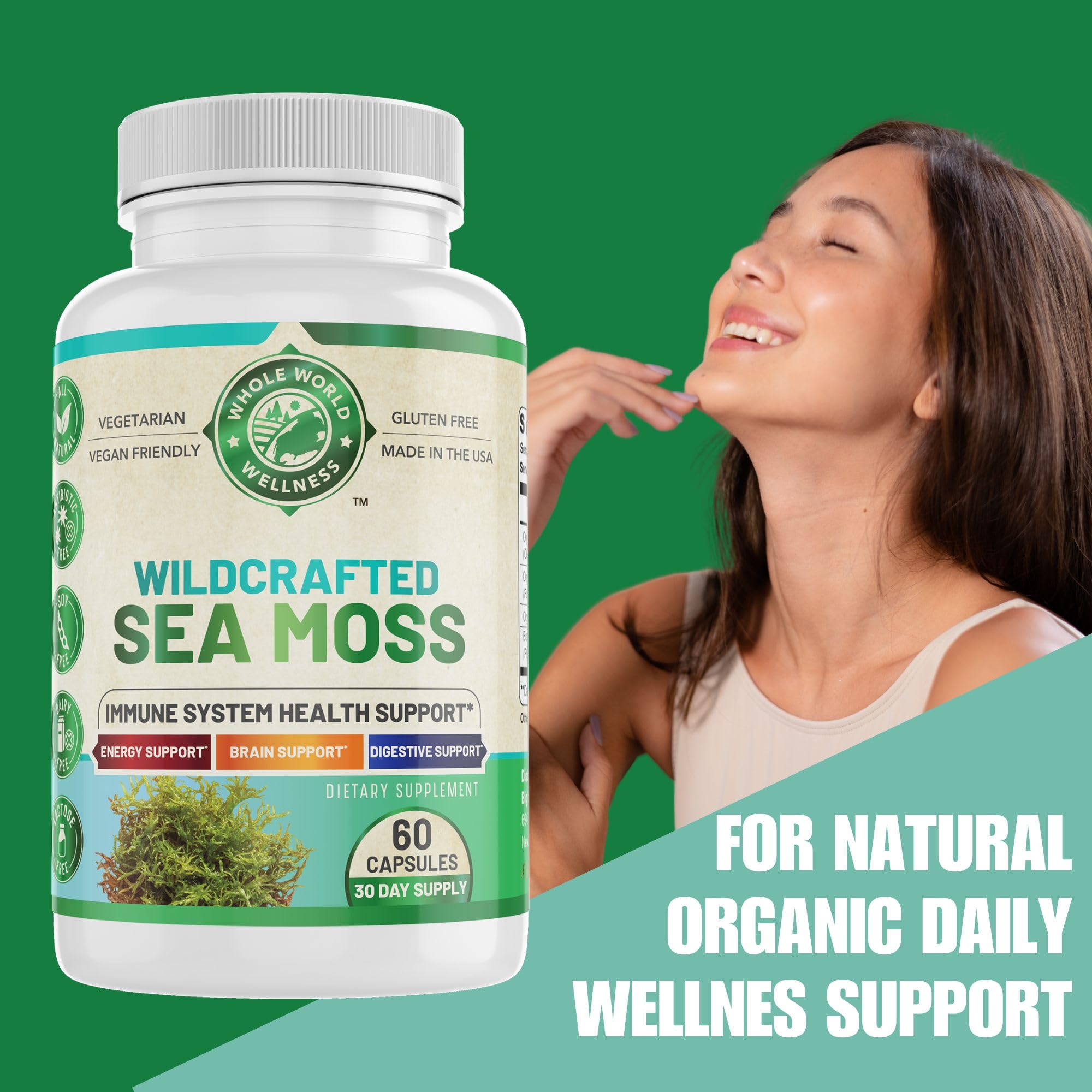 Whole World Wellness Organic Sea Moss Supplement Bottle Back Label