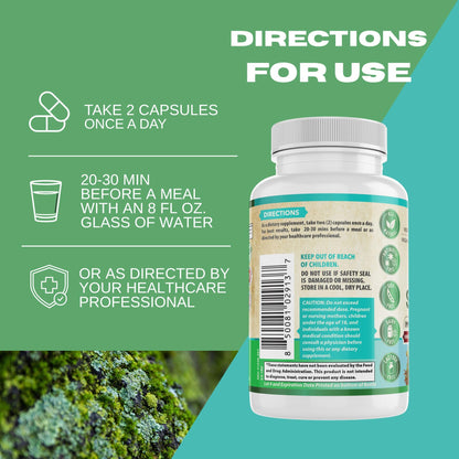 Whole World Wellness Organic Sea Moss Capsule Texture And Size