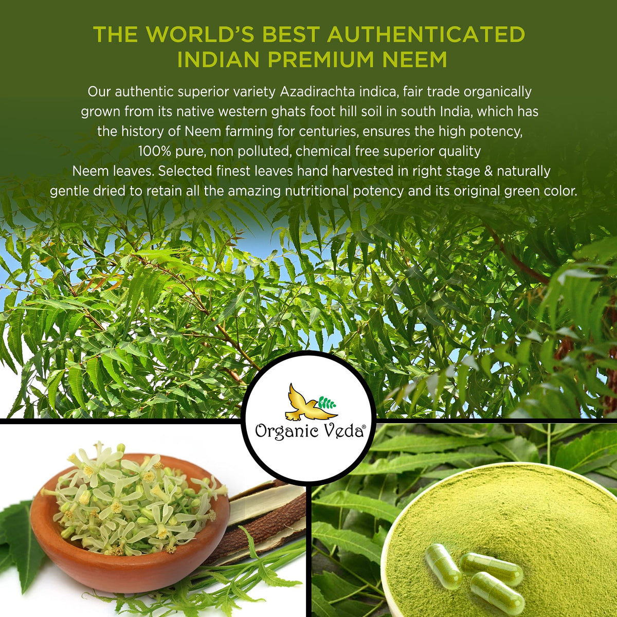 Organic Veda Neem Triple Complex vegan capsules lifestyle