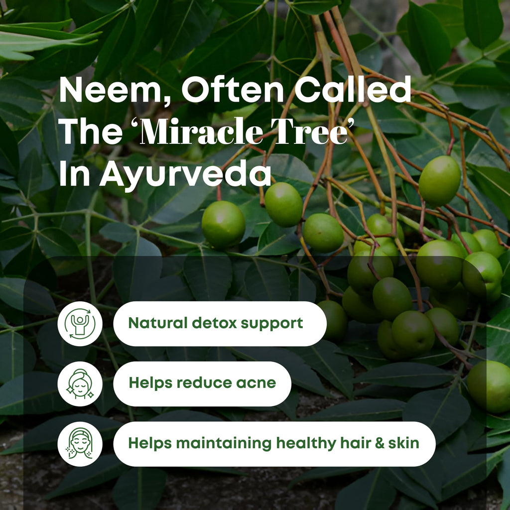 H&C Natural Neem Leaves Powder texture and fine grind