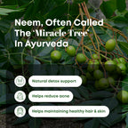 H&C Natural Neem Leaves Powder texture and fine grind