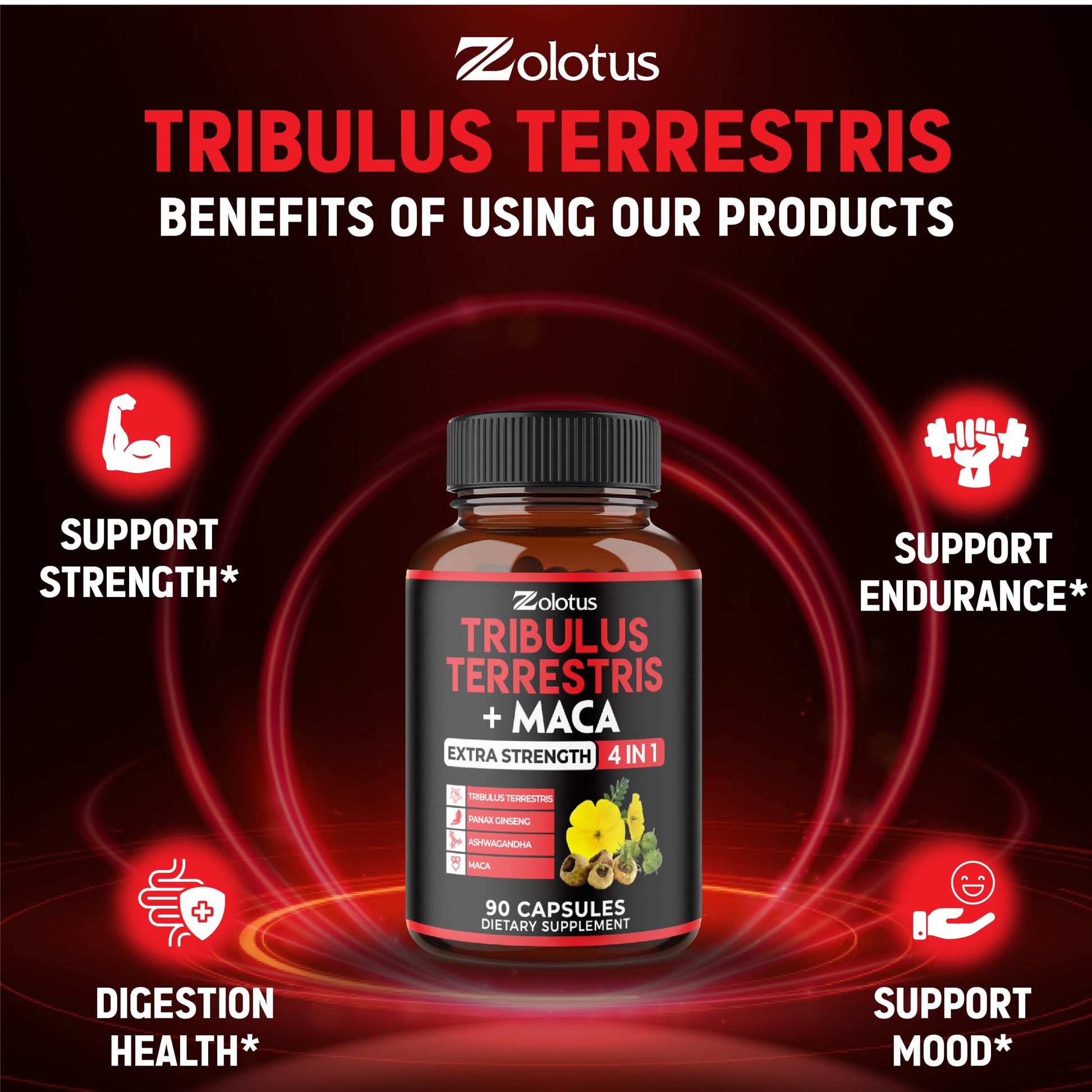 Zolotus energy and stamina support supplement bottle studio shot