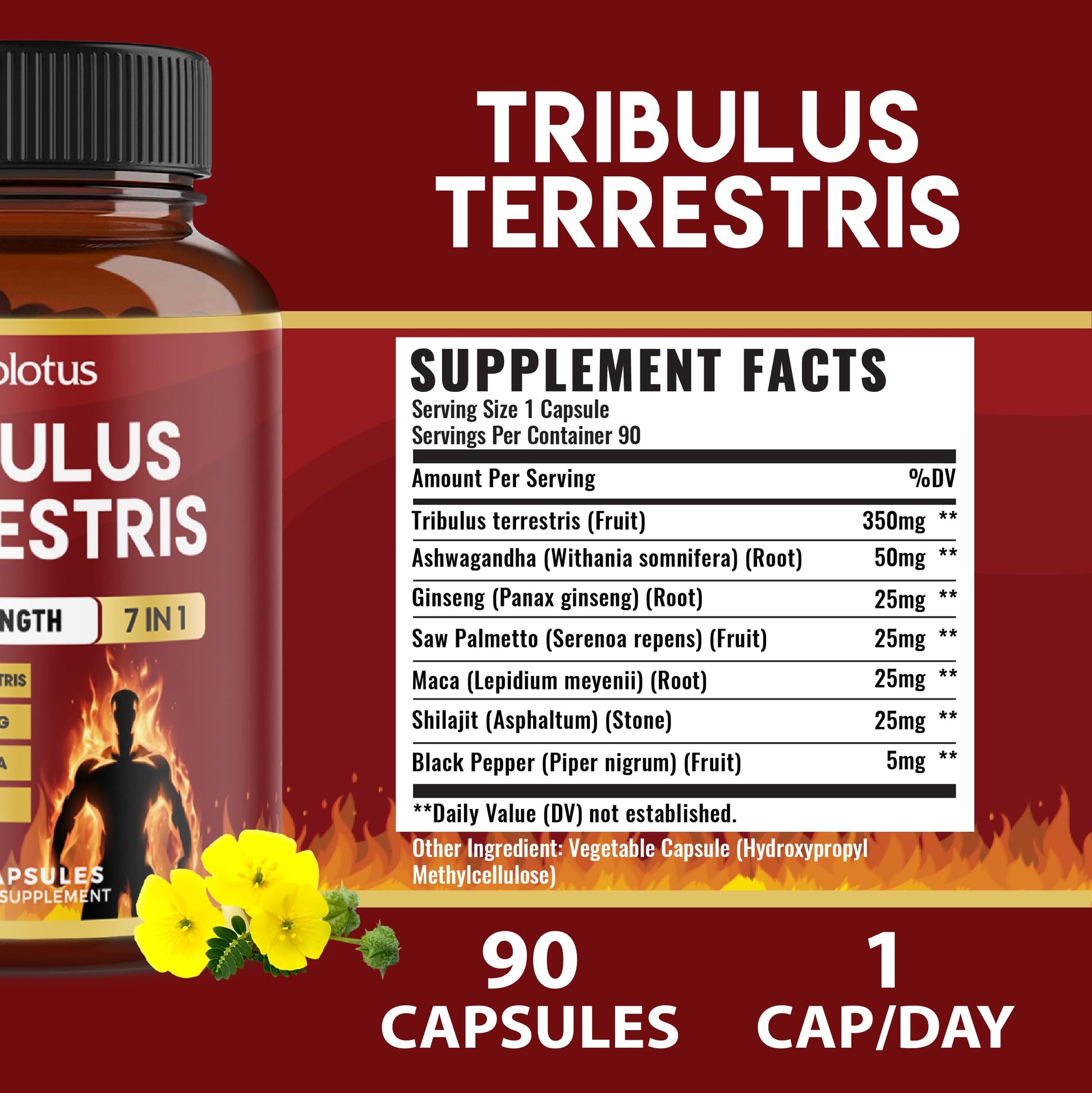 Capsule close up of Zolotus Tribulus Terrestris blend