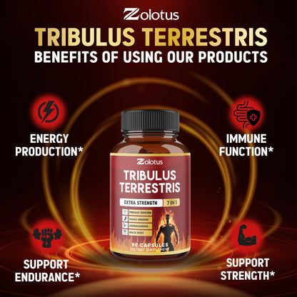 Zolotus premium herbal vitality formula bottle