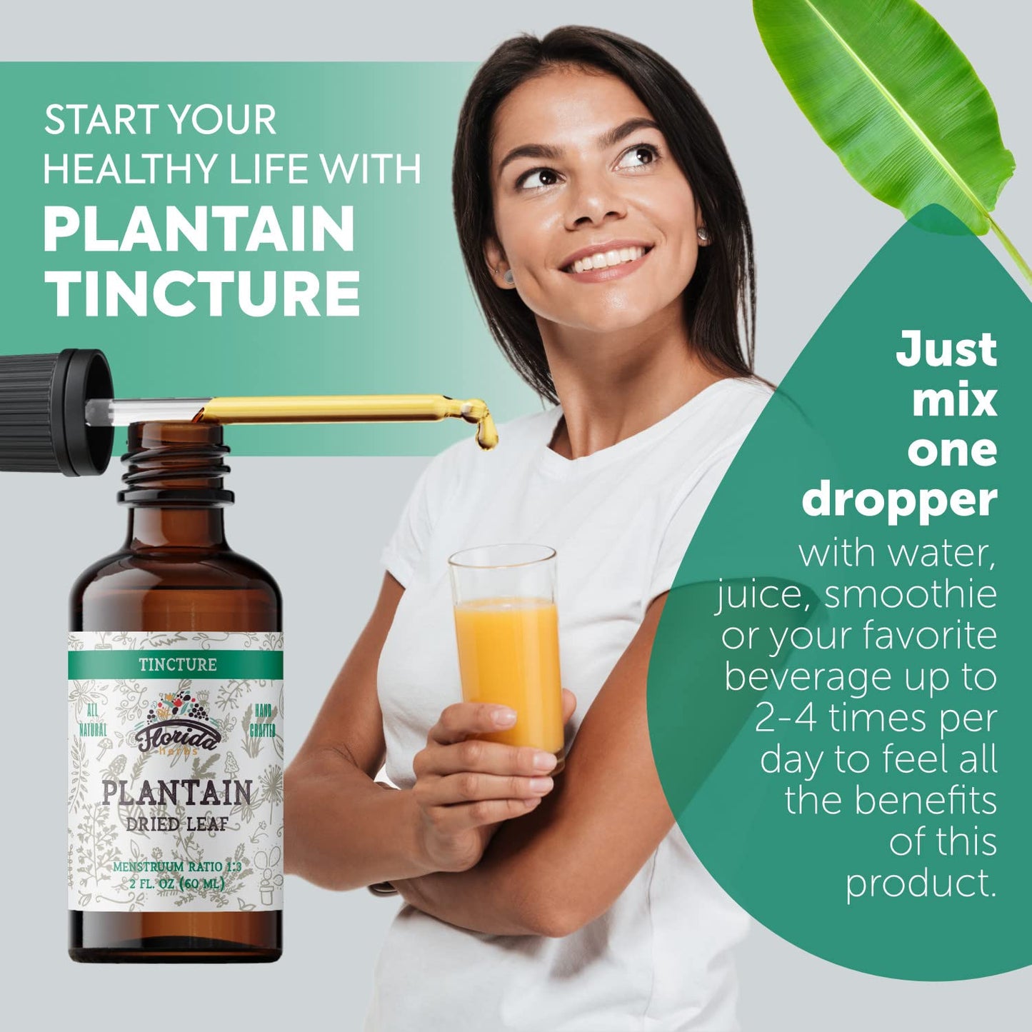 Florida Herbs Organic Plantain Extract supplement facts label