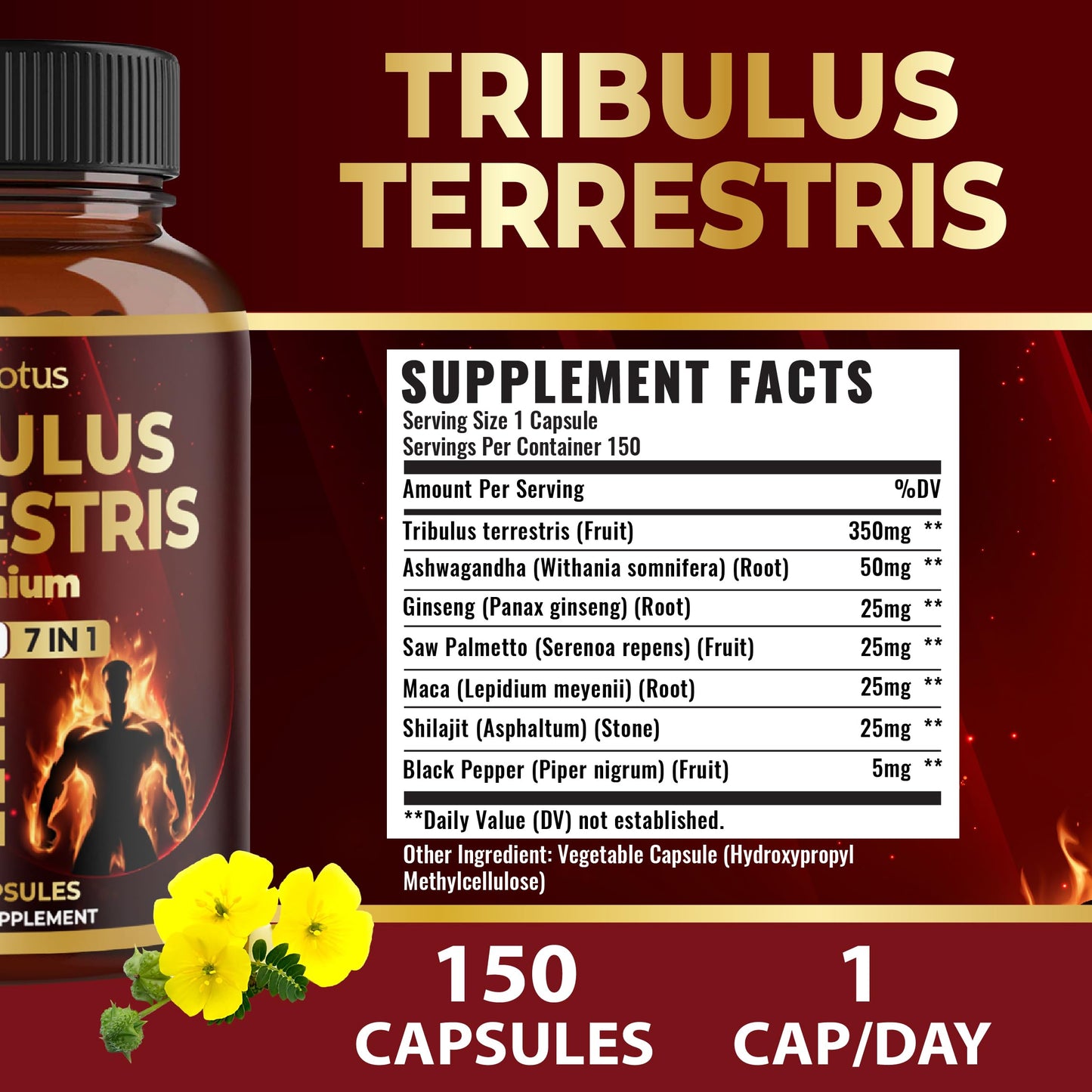 Zolotus dietary supplement bottle nutritional facts