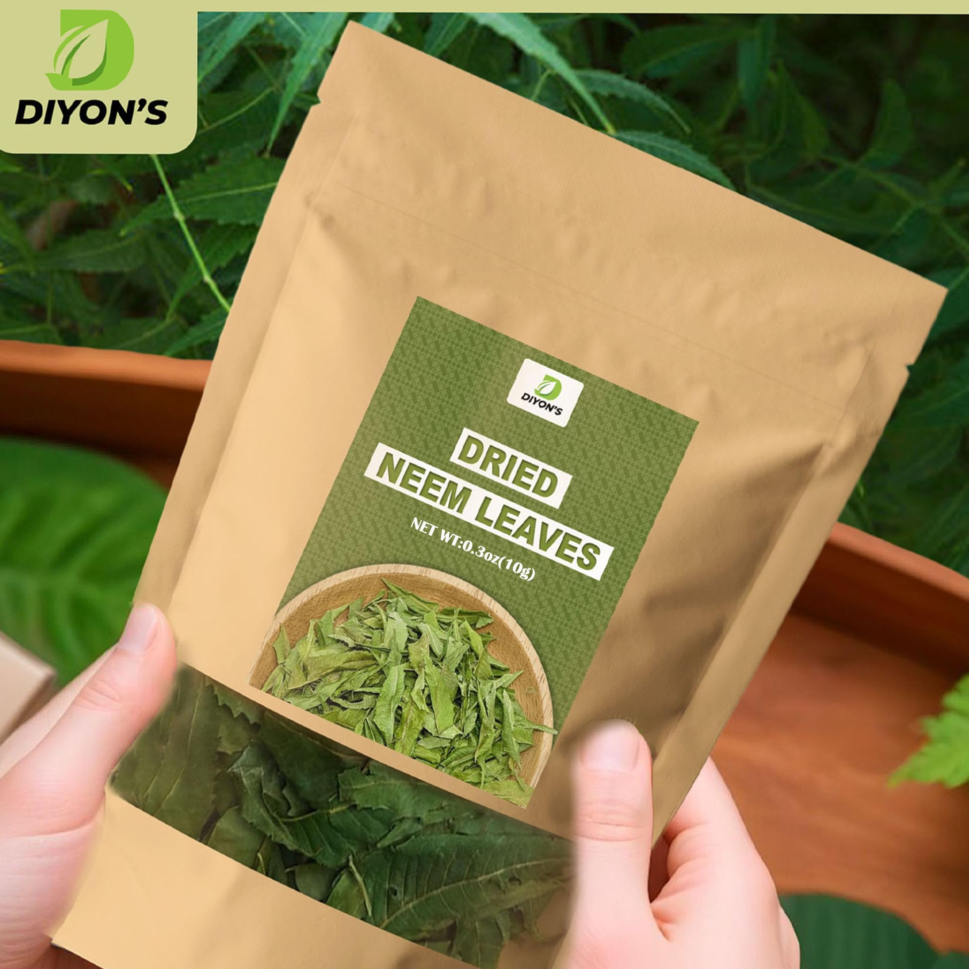 Organic Dried Neem Leaves Sri Lanka Texture