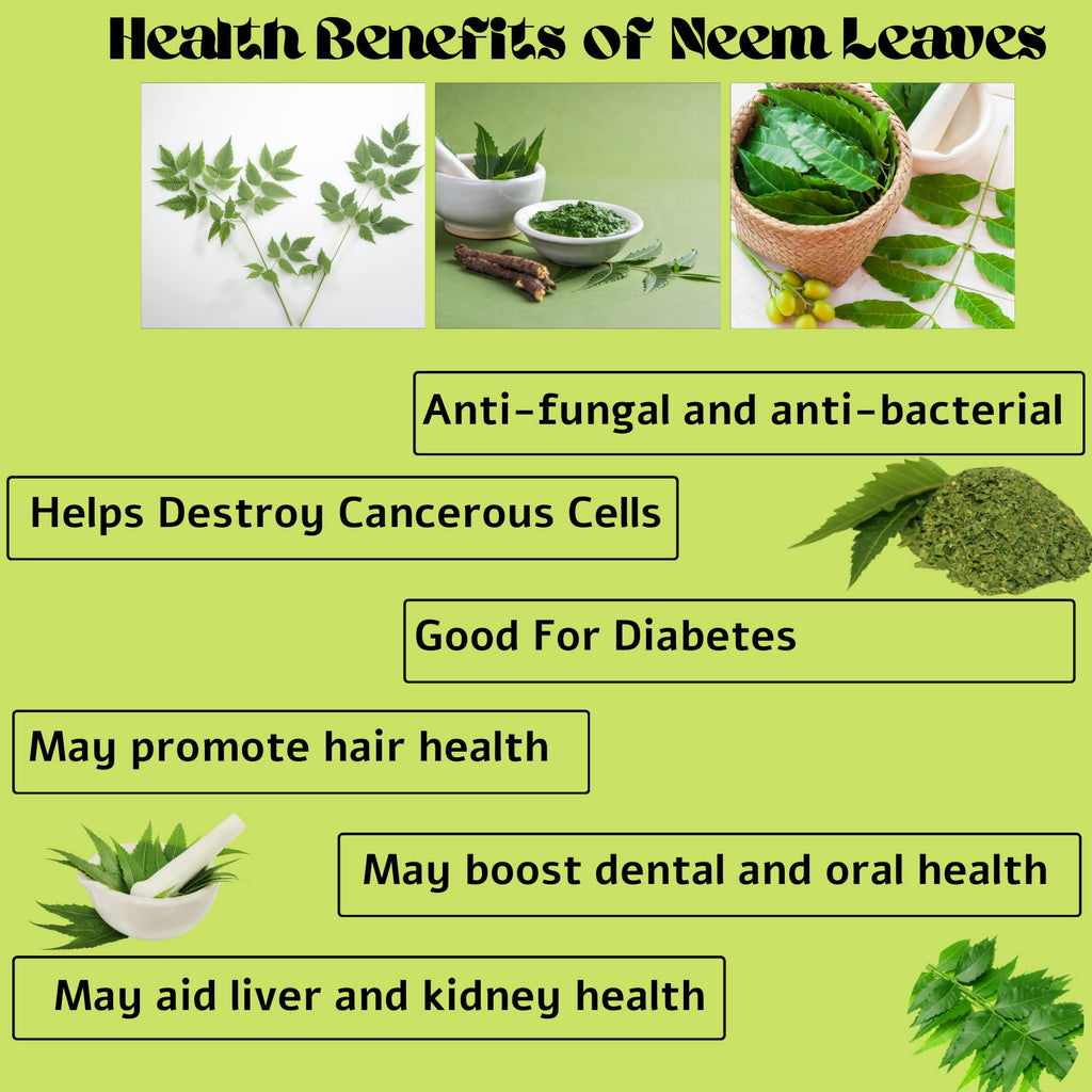 Diyons Air Dried Neem Leaves Resealable Kraft Pouch