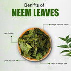 Natural Dried Neem Leaves Herbal Tea Preparation