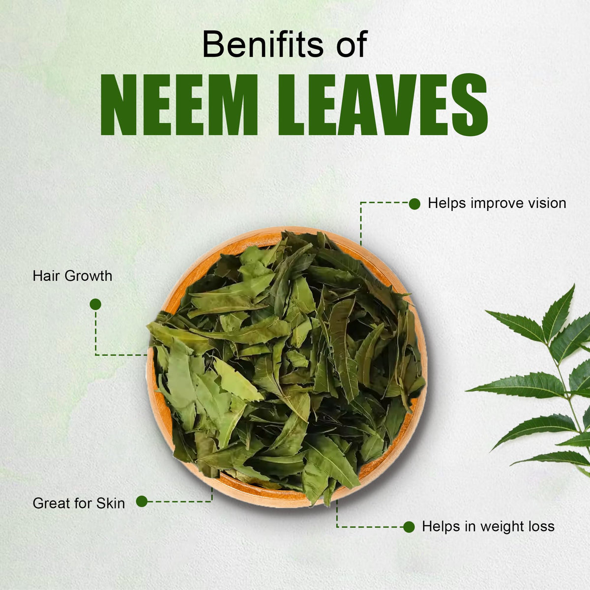 Natural Dried Neem Leaves Herbal Tea Preparation