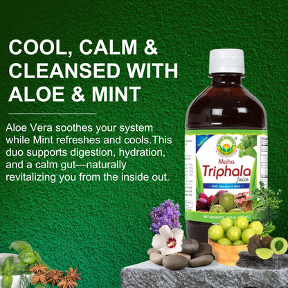 Basic Ayurveda Triphala Aloe Vera and Mint blend juice nutritional information label.