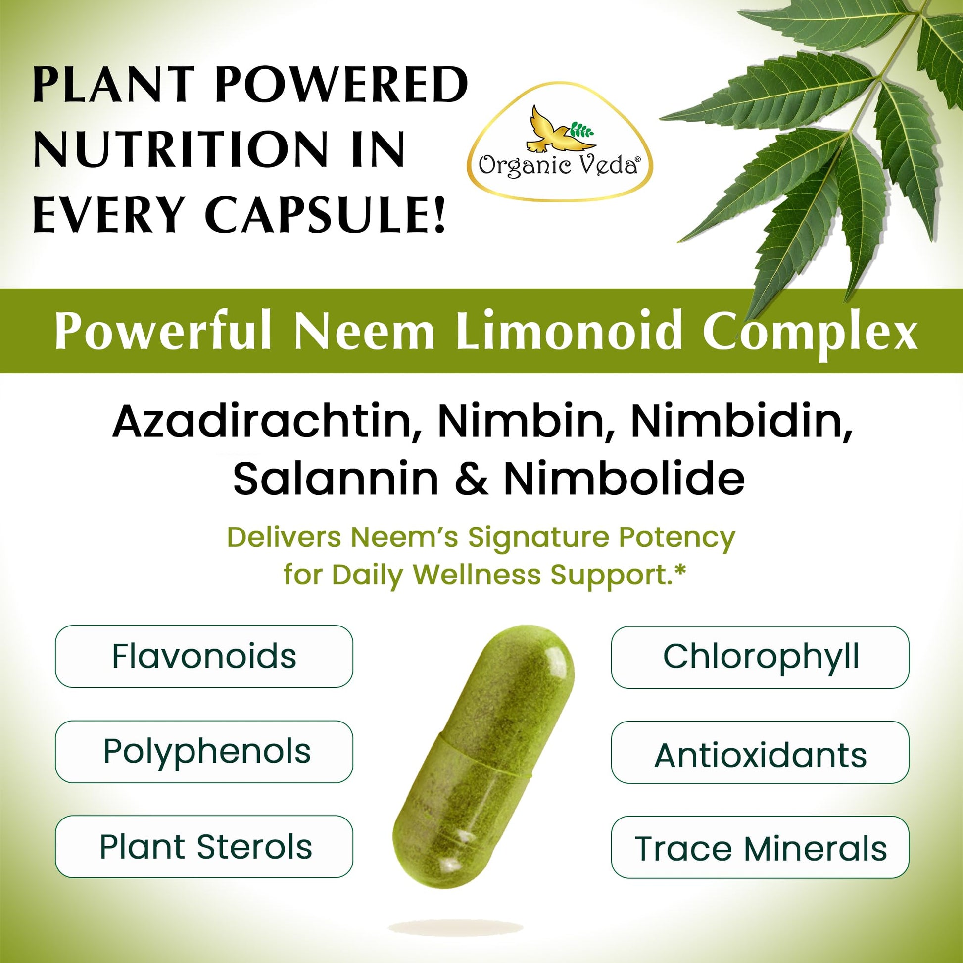 Organic Veda Neem non-gmo gluten-free vegetarian capsules