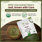 Premium Cut And Sifted Dried Neem Leaves Texture