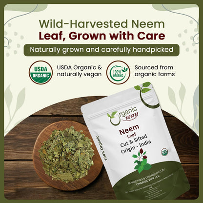 Premium Cut And Sifted Dried Neem Leaves Texture