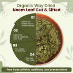 Organic Leaf Botanical For DIY Skincare Application