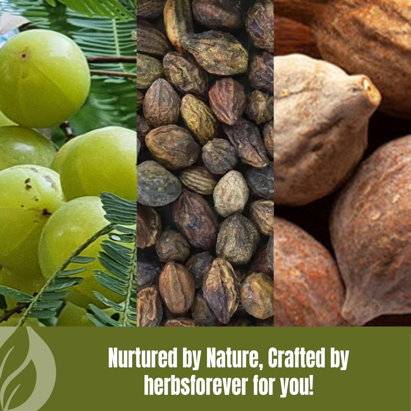 Herbsforever Triphala herbal supplement package highlighting Vitamin C antioxidant benefits