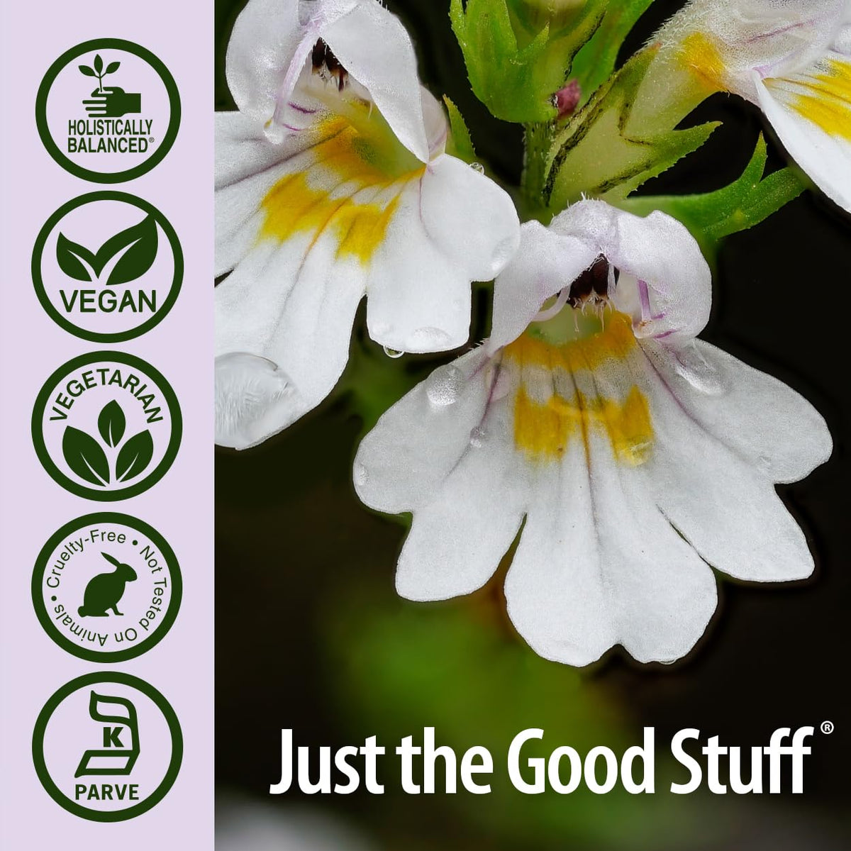 Close up of Nature's Answer Eyebright 90 count bottle