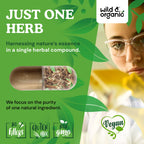 USA imported Wild and Organic vegan stinging nettle capsules for men and women.