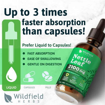 Wildfield Herbs Urtica dioica herbal supplement liquid drops for seasonal allergy relief
