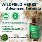 Vegan and sugar free stinging nettle leaf extract dietary supplement ingredients label