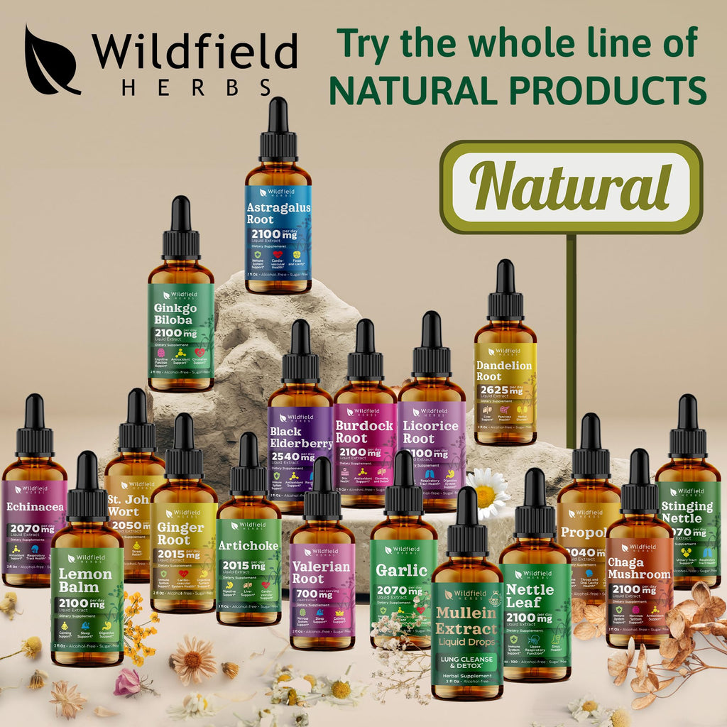 High potency 2000mg stinging nettle leaf extract bottle for immune and joint health
